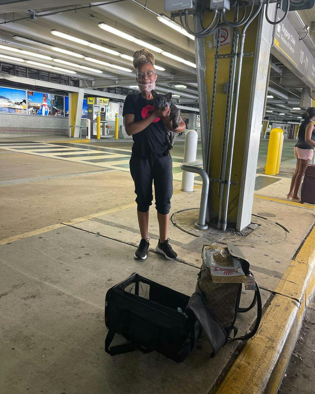 French Bulldog puppy at airport