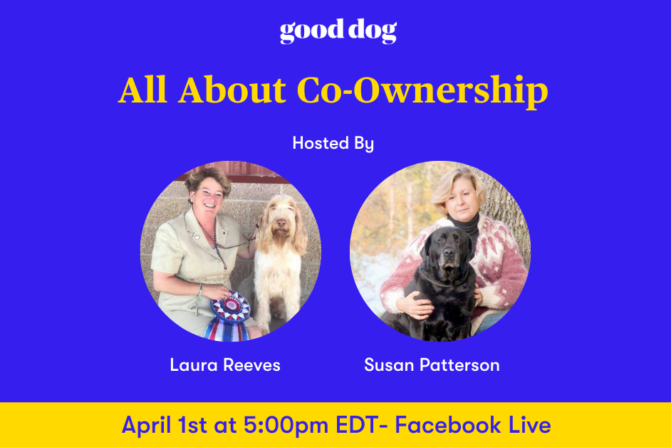 All about co-ownership banner