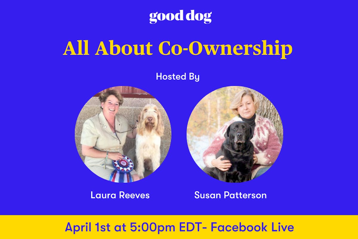 All about co-ownership banner