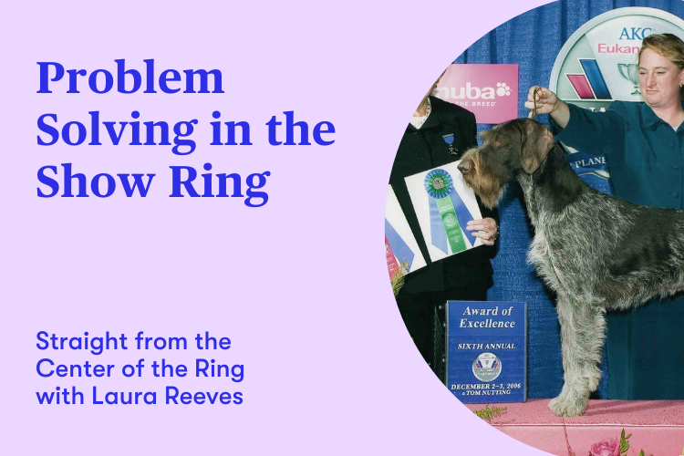 Problem Solving in the Show Ring
