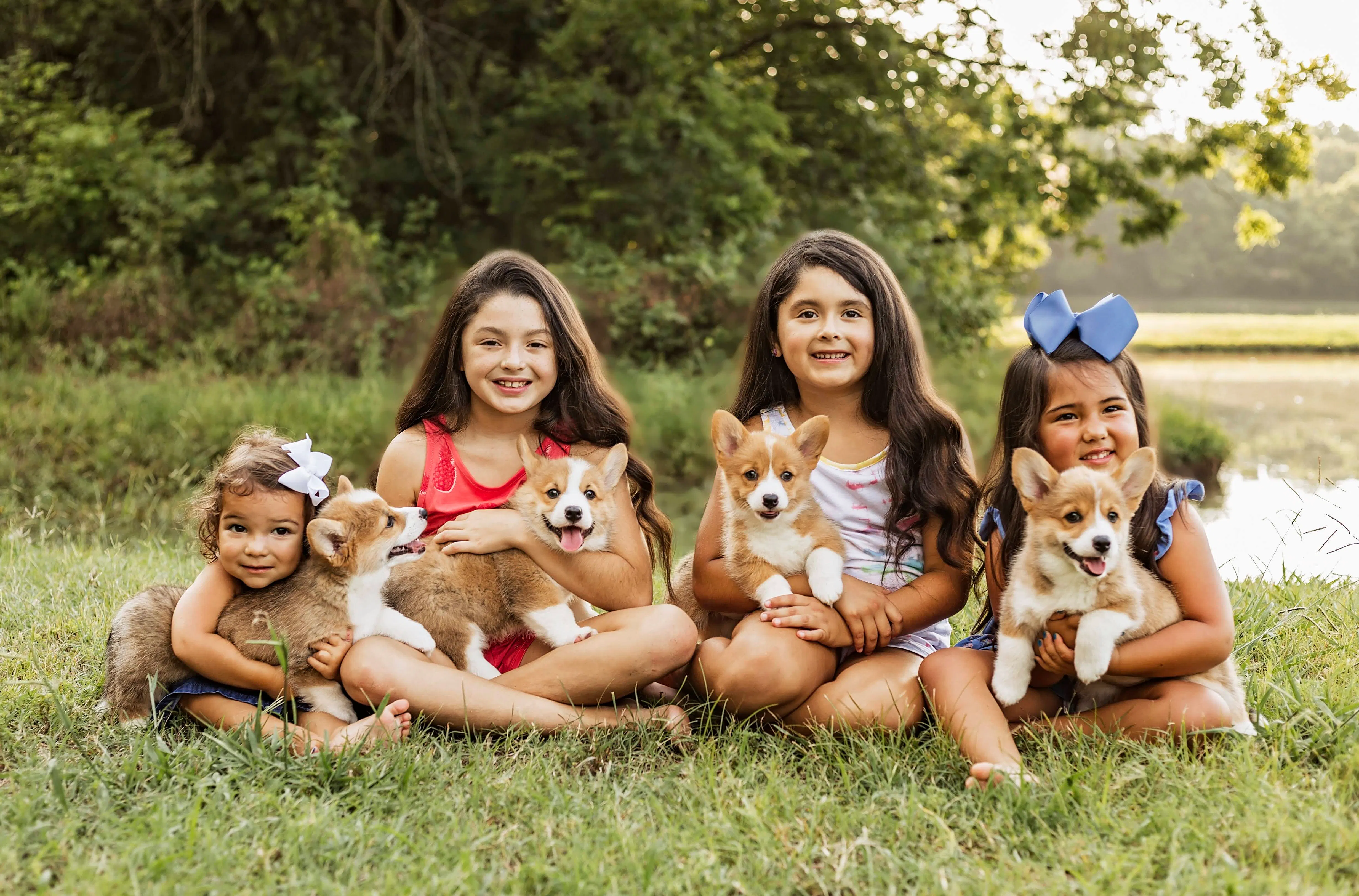 Girls with Corgi puppies.