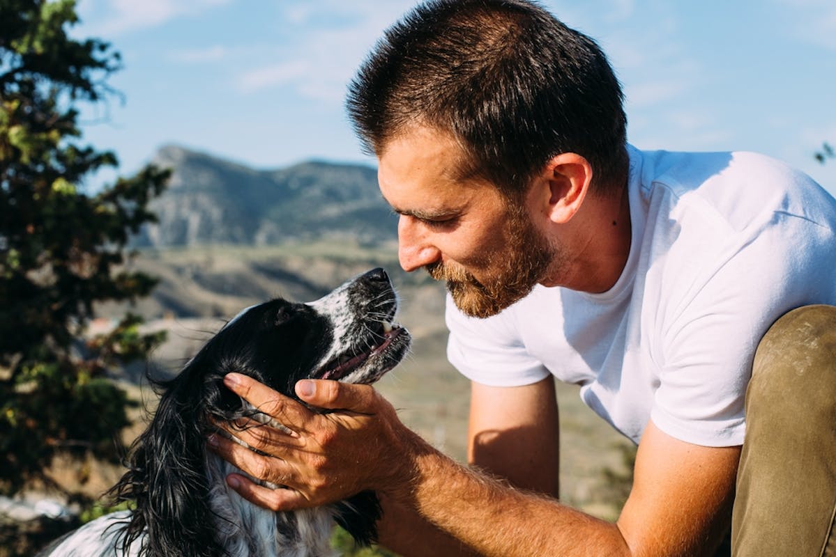 spaniel hiking with man outdoors adventure