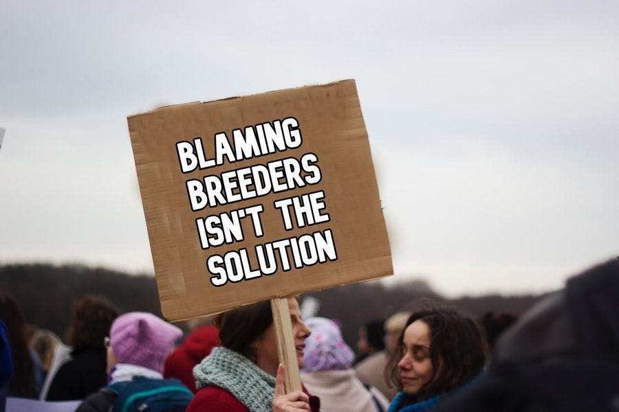 woman holding picket sign that reads "Blaming breeders isn't the solution"