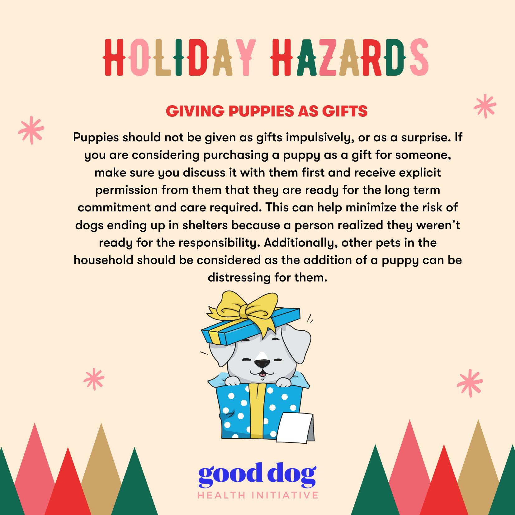 Holiday Hazards: Giving puppies as gifts