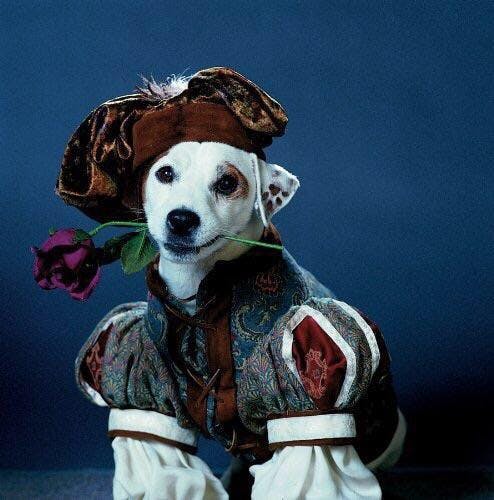 Soccer the dog in period dress