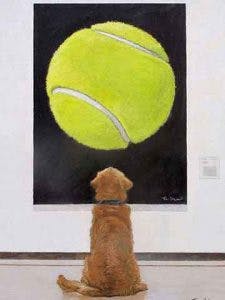 Dogs are naturally drawn to round objects…and drawings. Way cool! Golden Retriever at the Museum, Tom Mosser