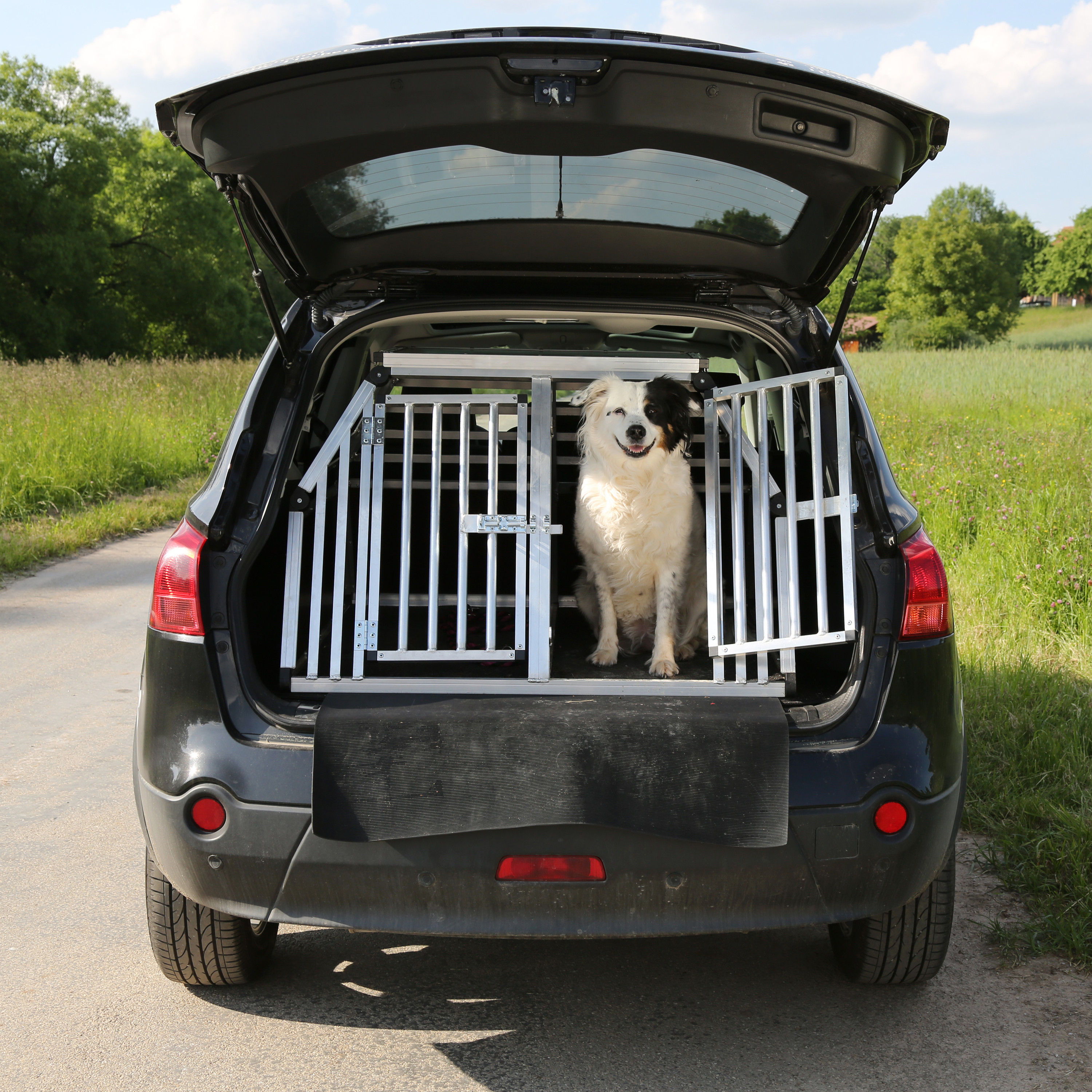 Dog in crate enclosure in the back of a car with hinged-door