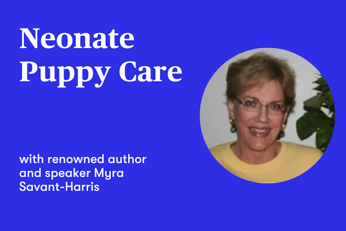 Neonate puppy care with Myra Savant-Harris