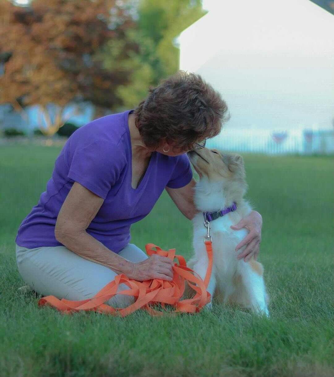 Anatasia the Collie puppy kissing her human