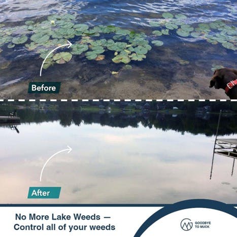 Before and after lakemat