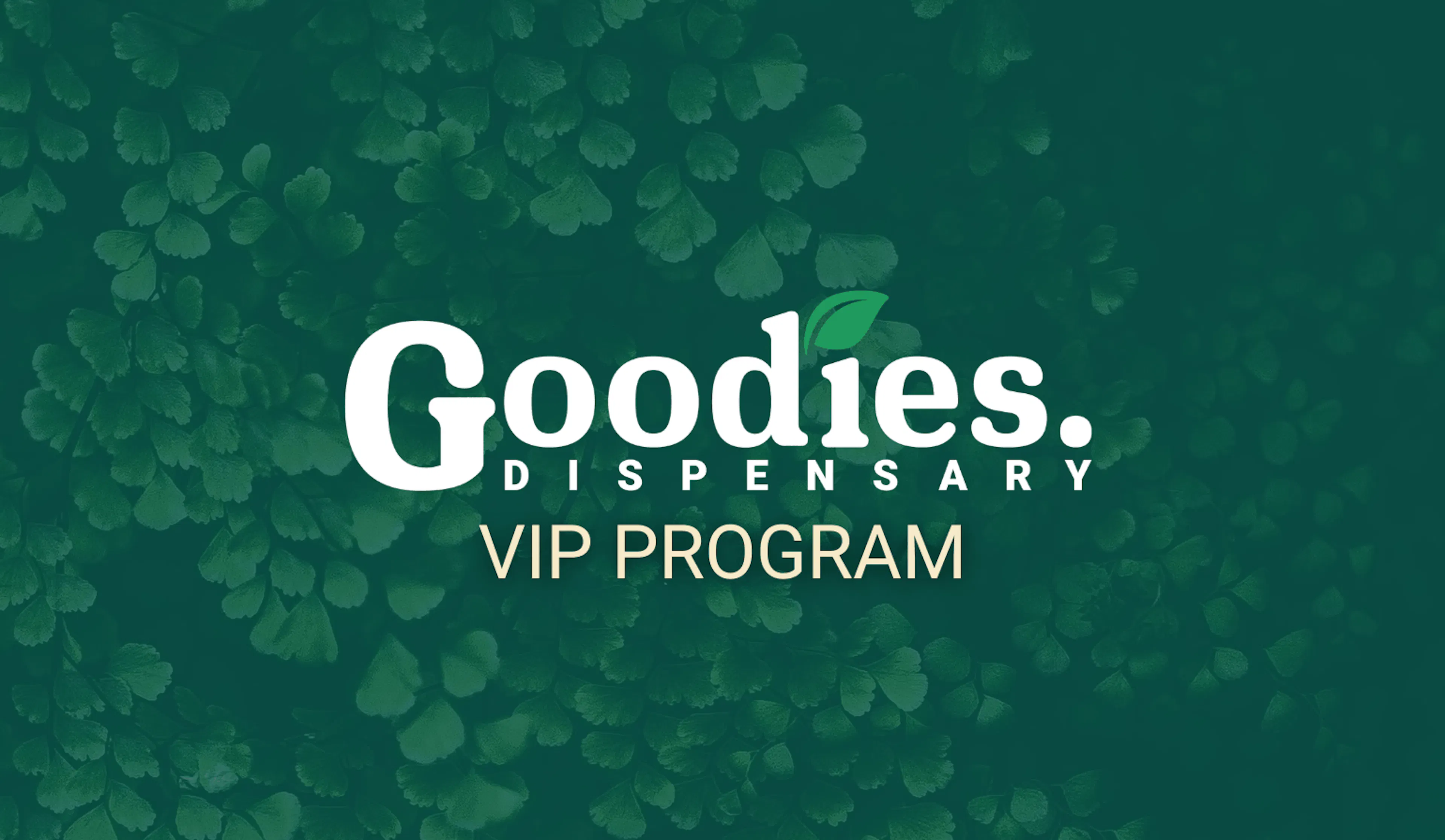 Disposable Vapes vs 510 Cartridges | Goodies Dispensary Guide