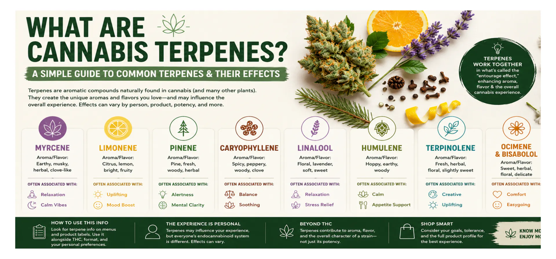 does tobacco have terpenes Current advances of functional phytochemicals in Nicotiana plant and related potential value of processing waste: A review What Are Terpenes? | Premium