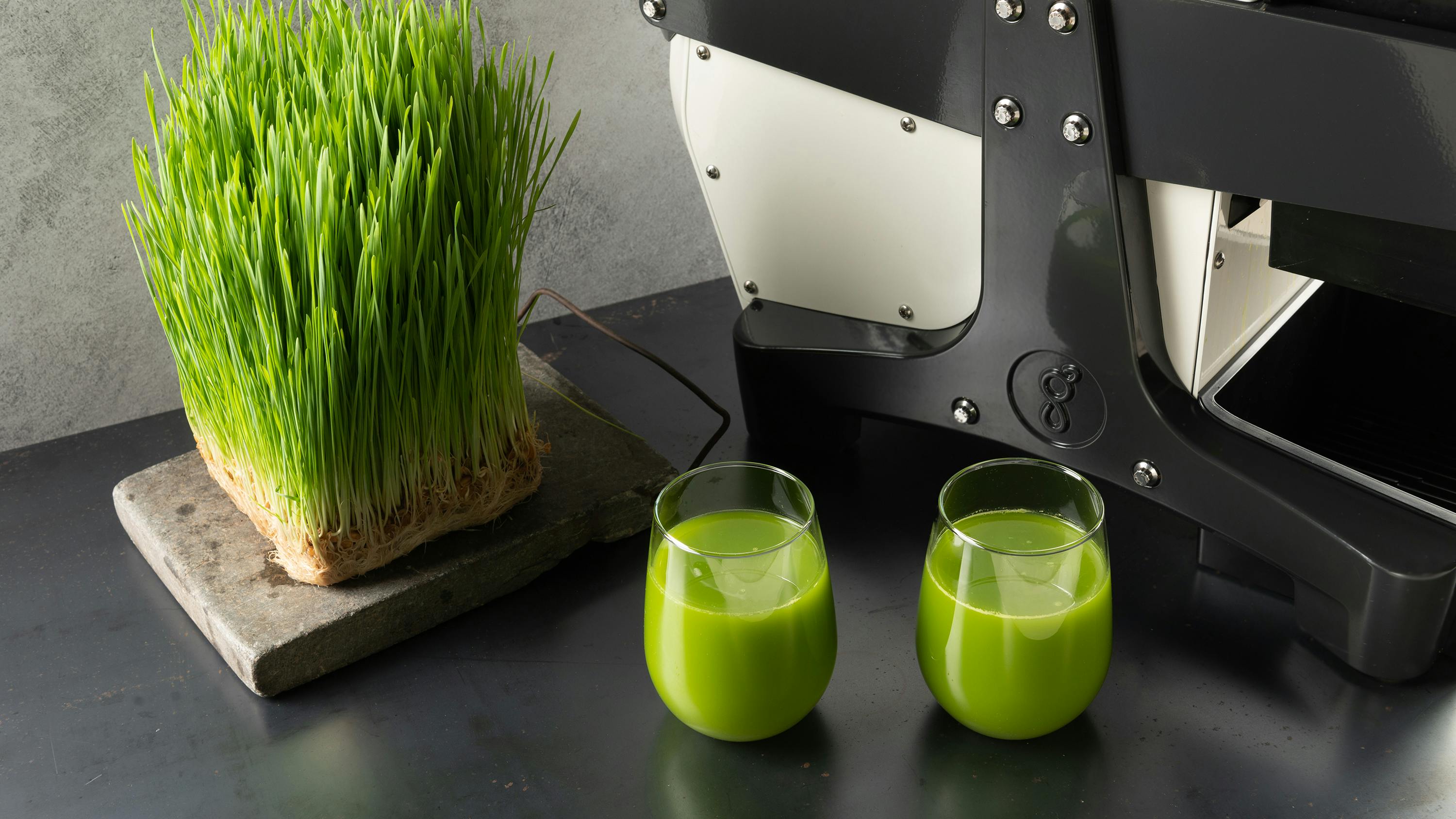 two glasses of green juice next to wheatgrass and the Goodnature M-1 cold press juicer on a black countertop