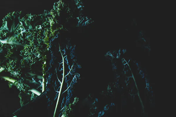 Starting a juice bar