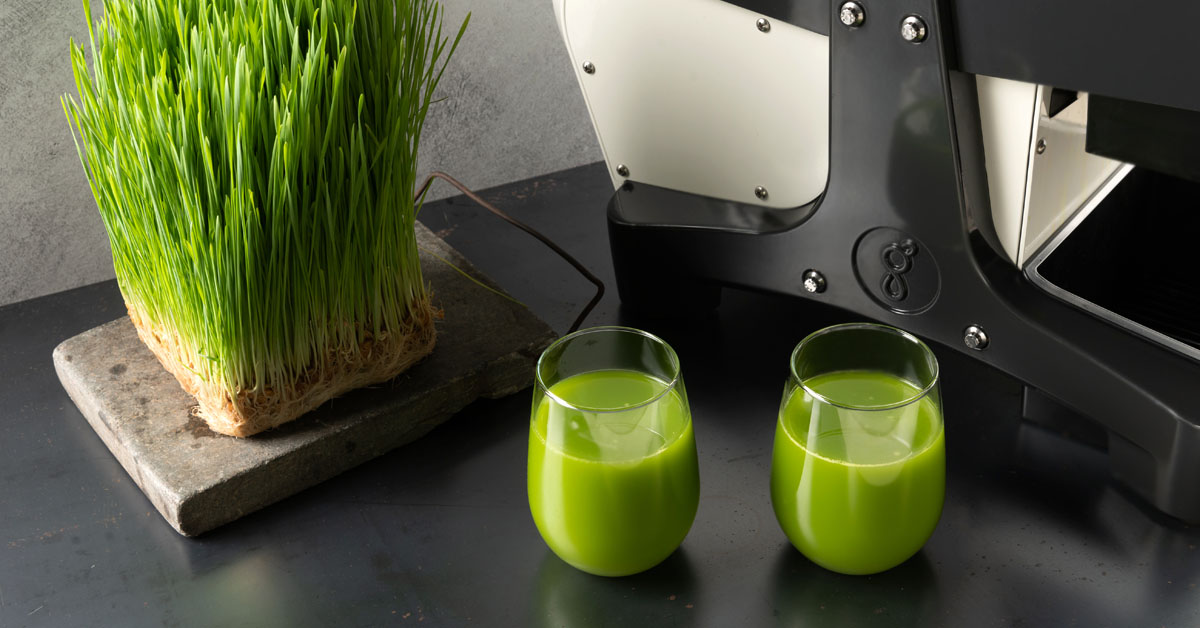 Wheatgrass fresh cheap juice