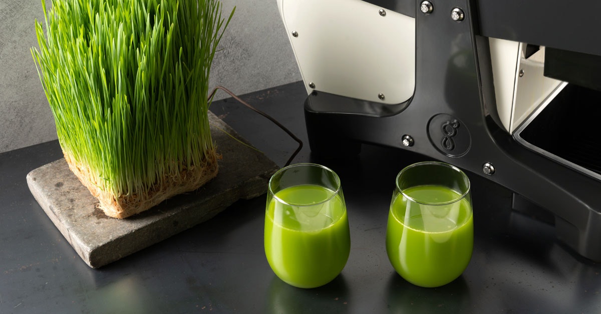 wheatgrass juice two glasses on a table next to a bunch of wheatgrass