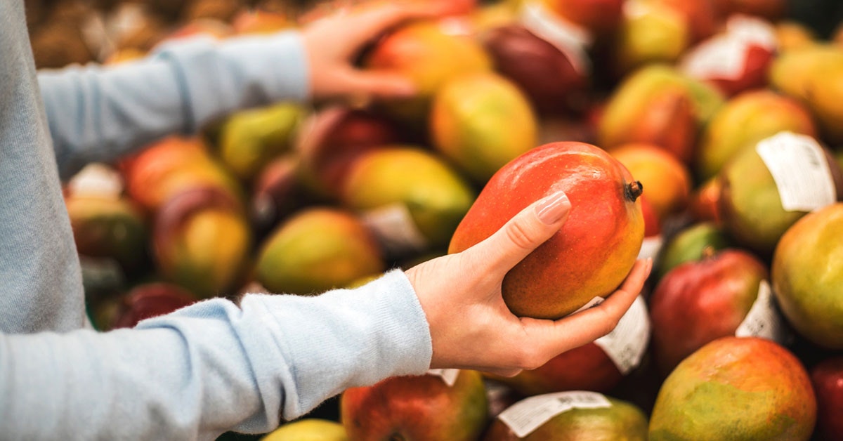 person choosing a ripe mango at the store