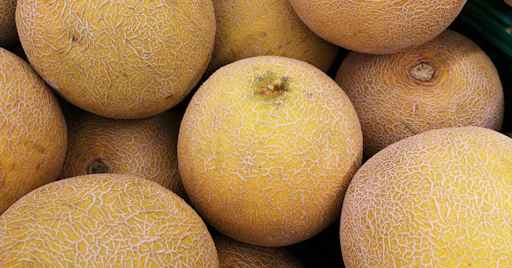 Cantelope Over Riped How to Pick a Ripe Cantaloupe