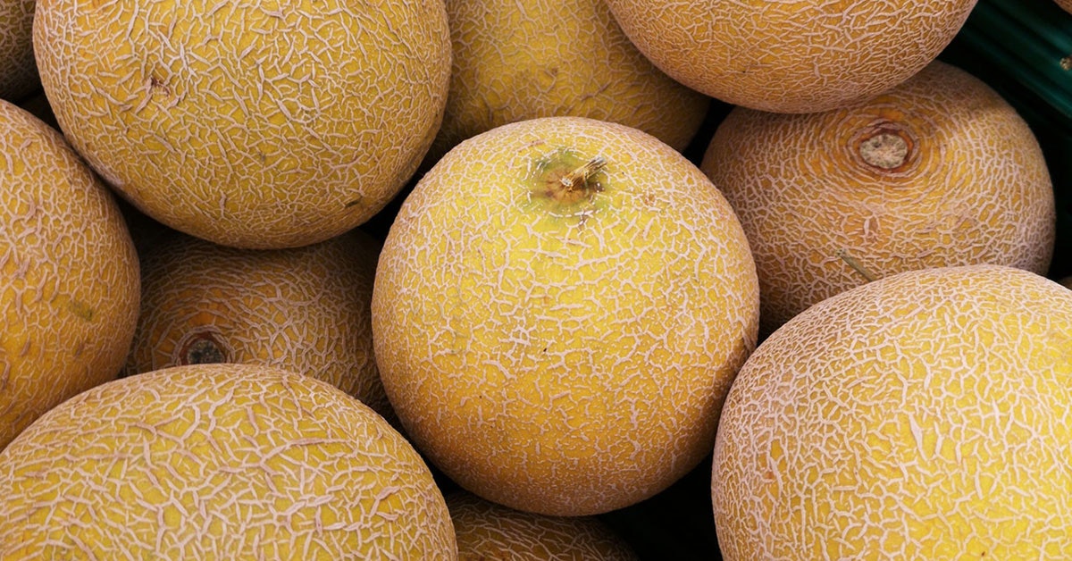 how to pick a ripe cantaloupe for a juice recipe