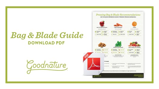 bag-and-blade-guide