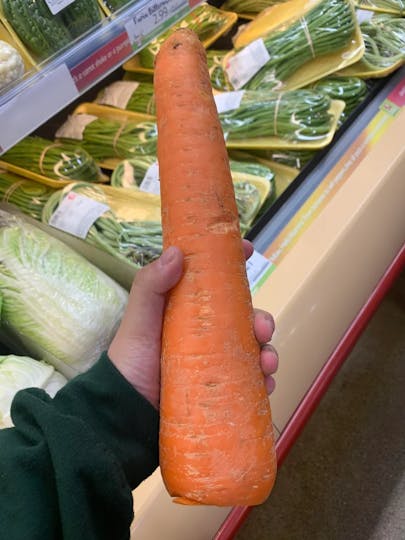 giant