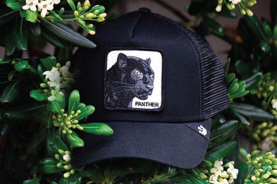 goorin bros panther hat