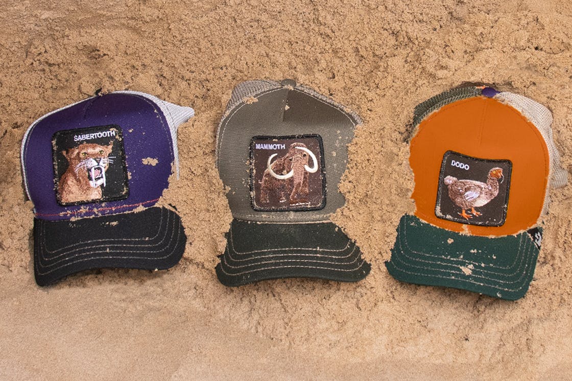 New drops every week - Get them before they're EXTINCT