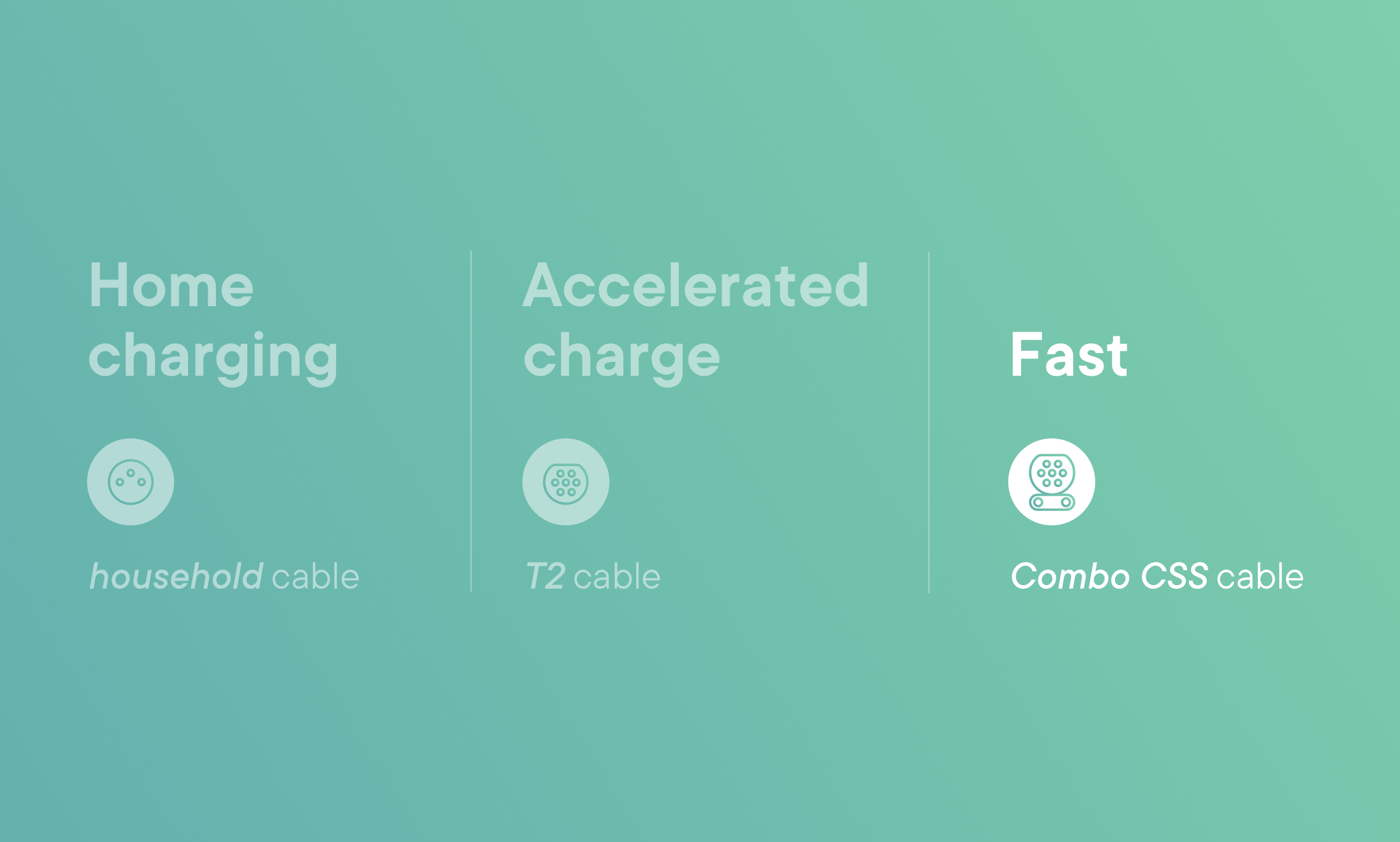 100 electriccar rental