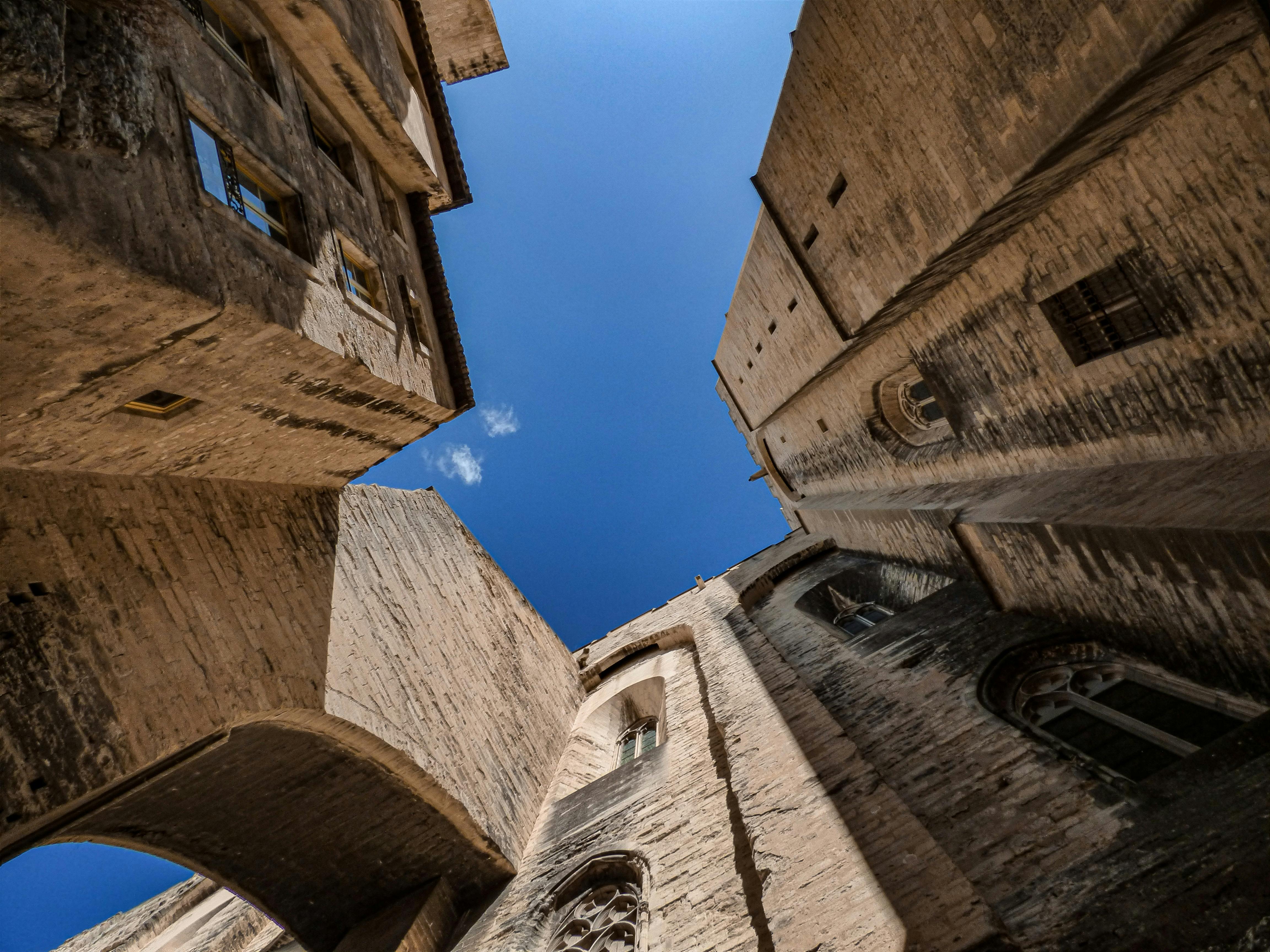 Activités et curiosités incontournables à Avignon