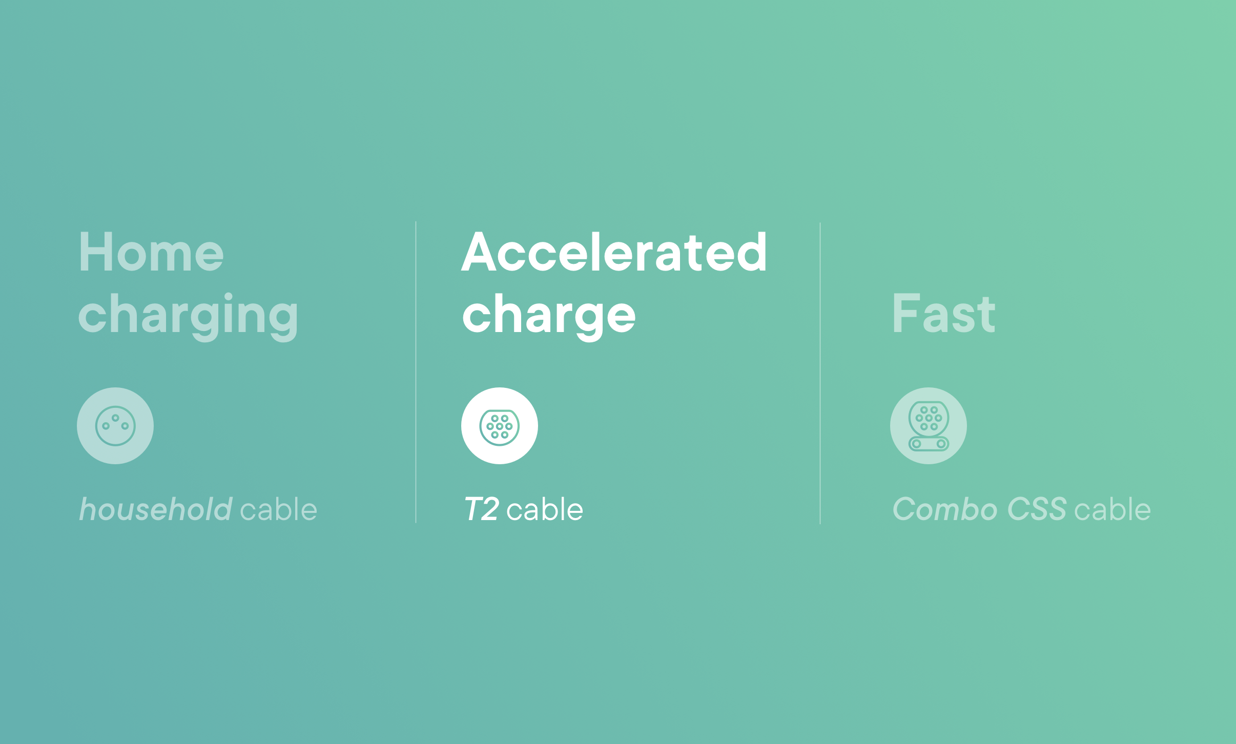 100 electriccar rental