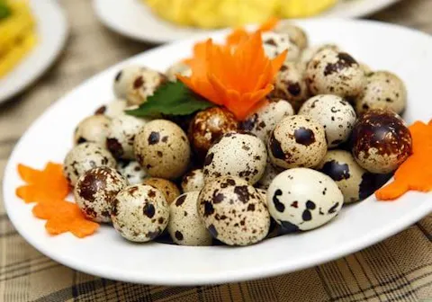 Fertilized Quail Eggs