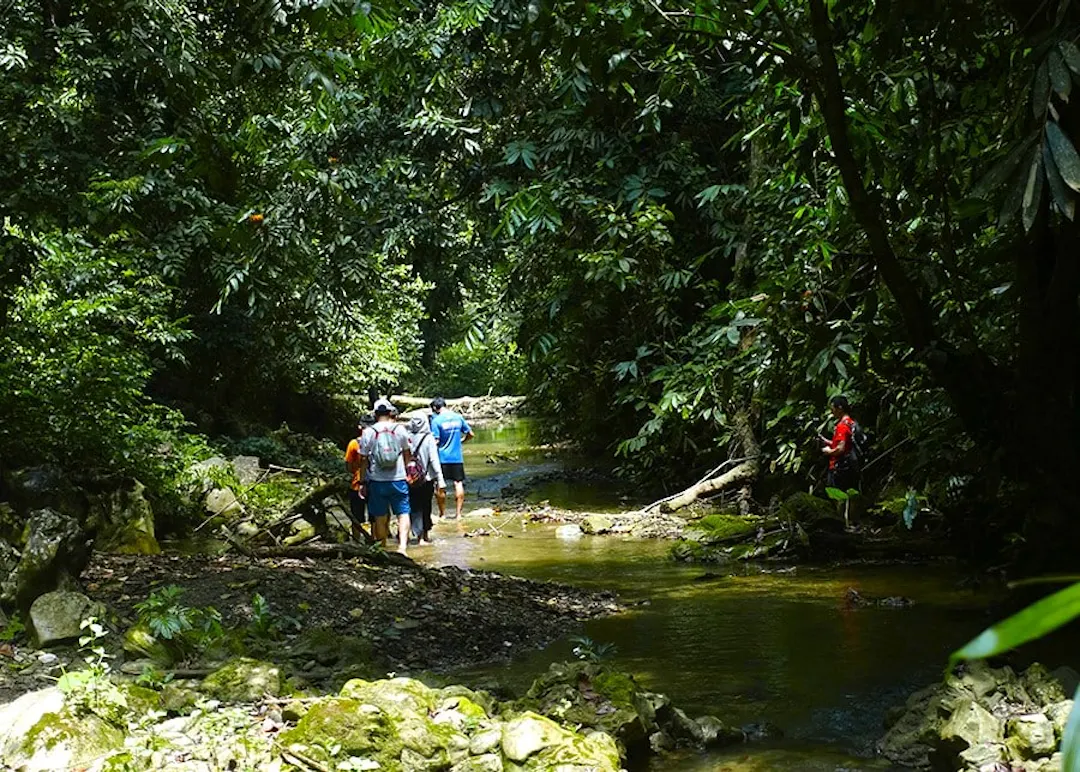 Tropical Wilderness – Pu Luong & Phong Nha