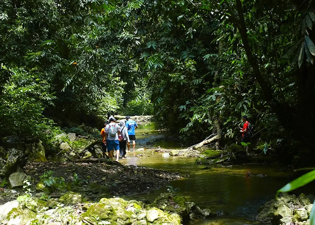 Tropical Wilderness – Pu Luong & Phong Nha