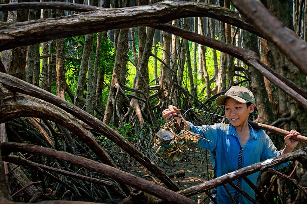 The Culinary Hunt: Savoring Ca Mau Mud Crabs
