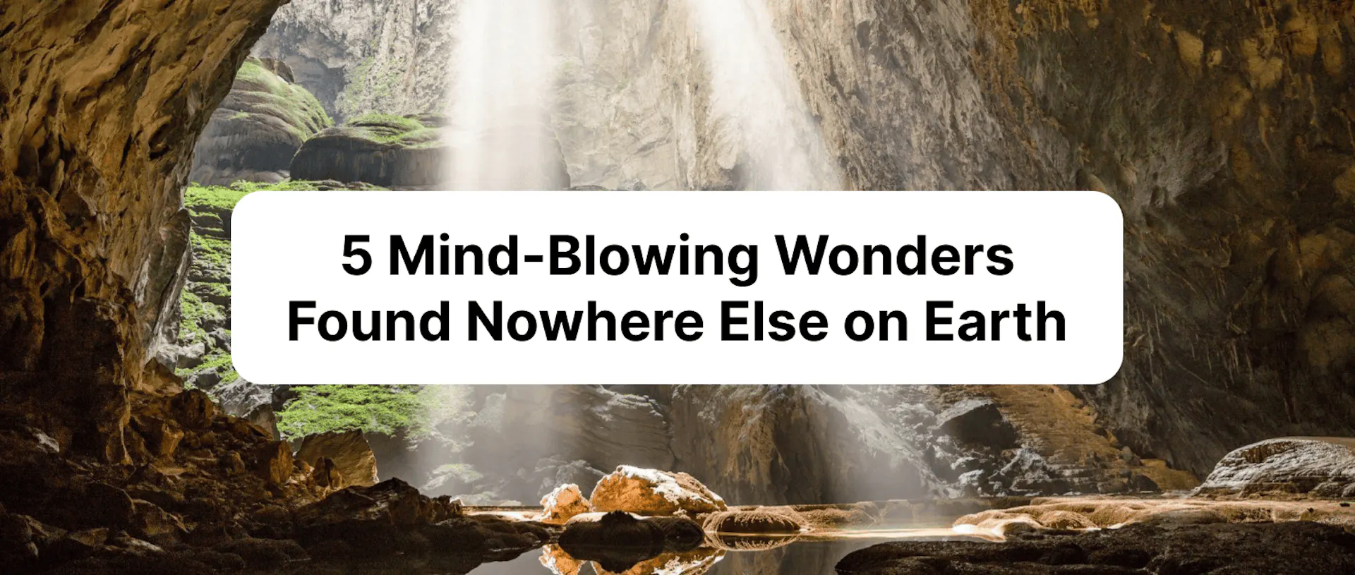 Inside Son Doong Cave: 5 Mind-Blowing Wonders Found Nowhere Else on Earth