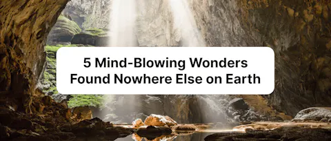 Inside Son Doong Cave: 5 Mind-Blowing Wonders Found Nowhere Else on Earth