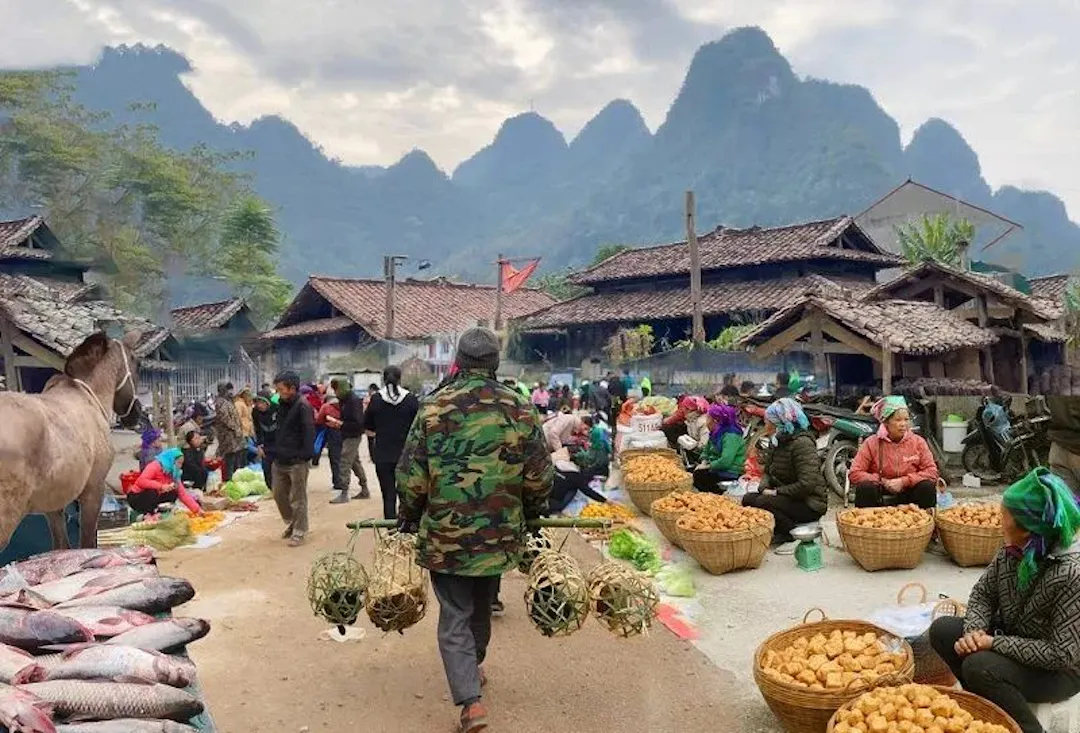 Navigating Local Markets and Eateries