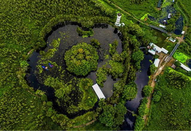 U Minh Thuong National Park – Vietnam’s Peat Swamp Forest & Wetland Treasure