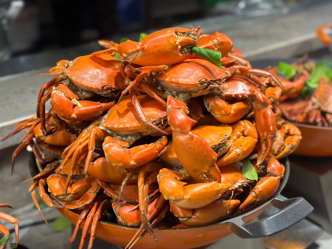 The Legendary Ca Mau Mud Crab (Cua Cà Mau)