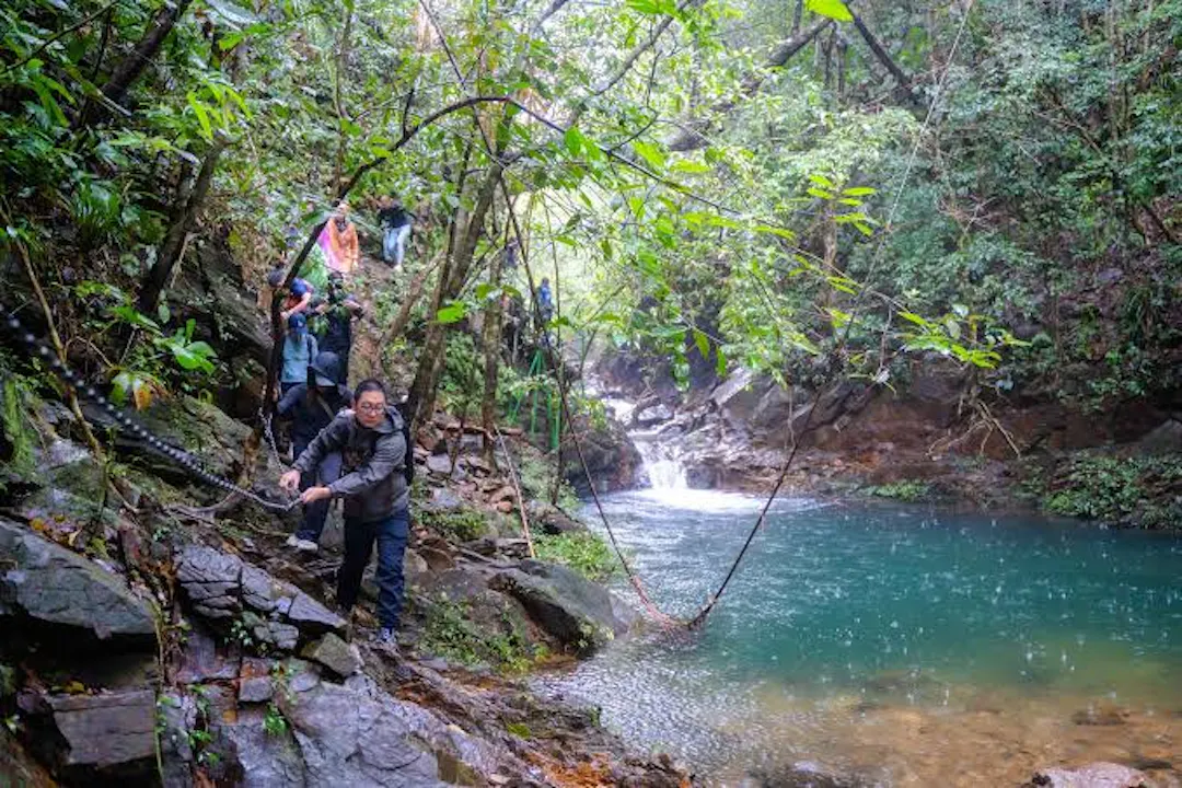 Misty Ridges and Imperial Biomes – Bạch Mã National Park