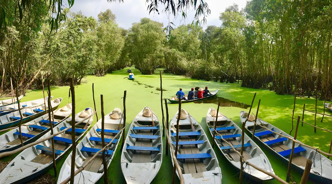Glide Through the Neon-Green Carpet of Tra Su Cajuput Forest