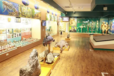 Vietnam National Museum of Nature