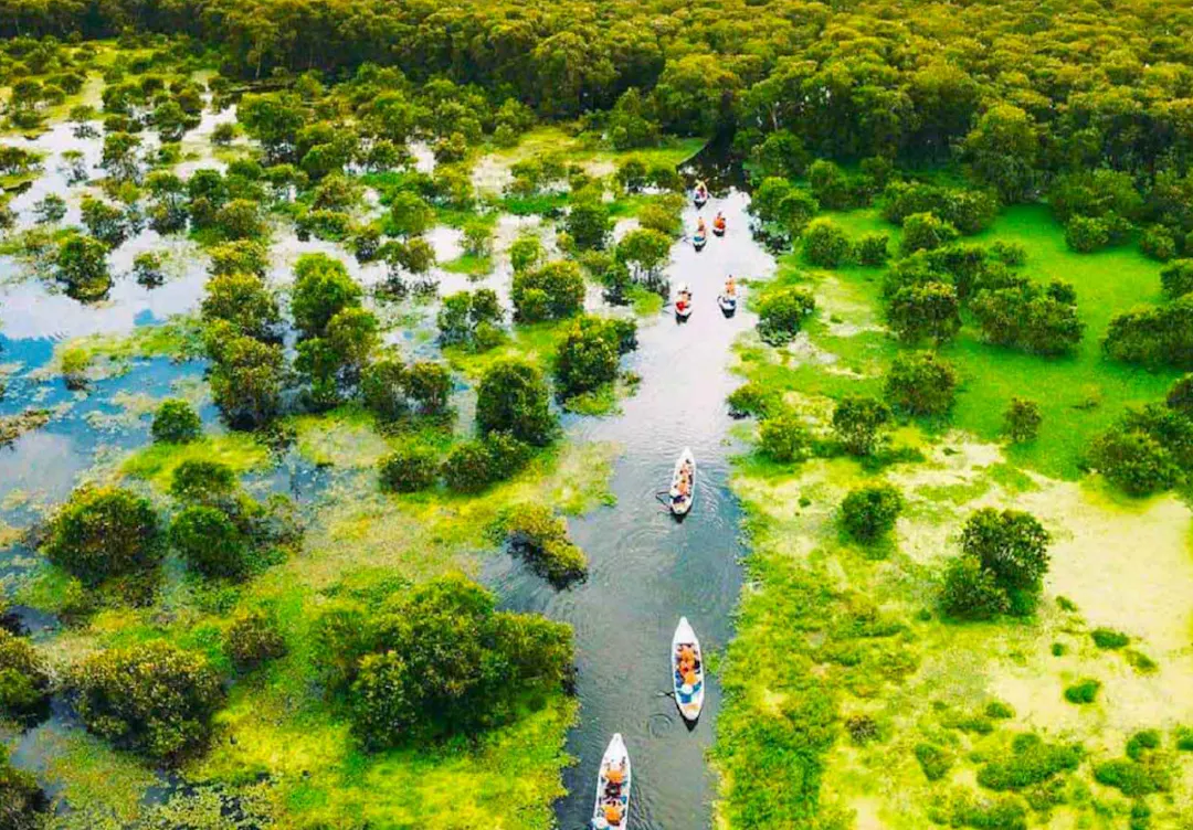Tra Su Cajuput Forest