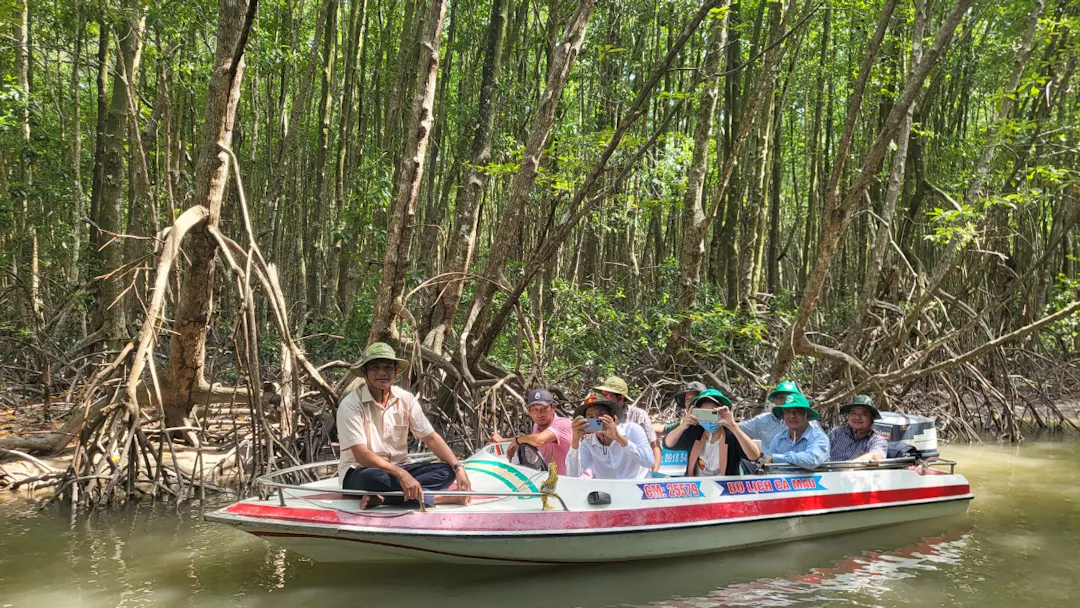 The Mangrove Tunnel Boat Experience