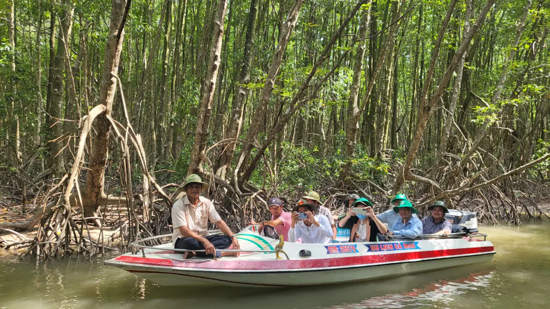 The Mangrove Tunnel Boat Experience