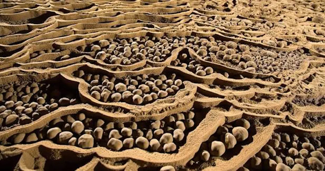 Crystalline Anomalies – Baseball-Sized Cave Pearls