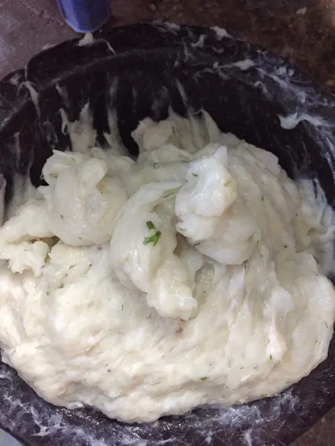 Fresh Squid