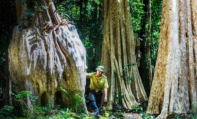 Cat Tien National Park – Vietnam’s Tropical Rainforest & Wildlife Sanctuary