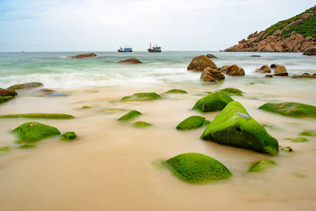 Binh Ba Island in Frames – Beaches, Seafood & Coastal Island Life