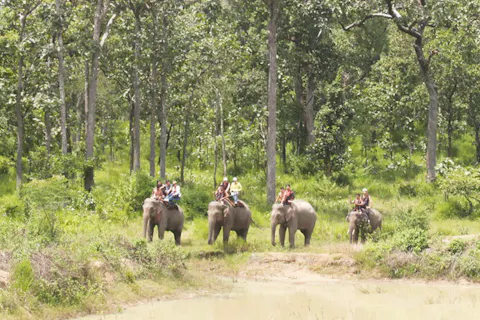 Yok Don National Park